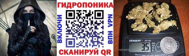 Бошки Шишки OG Kush  kraken tor  Электроугли 